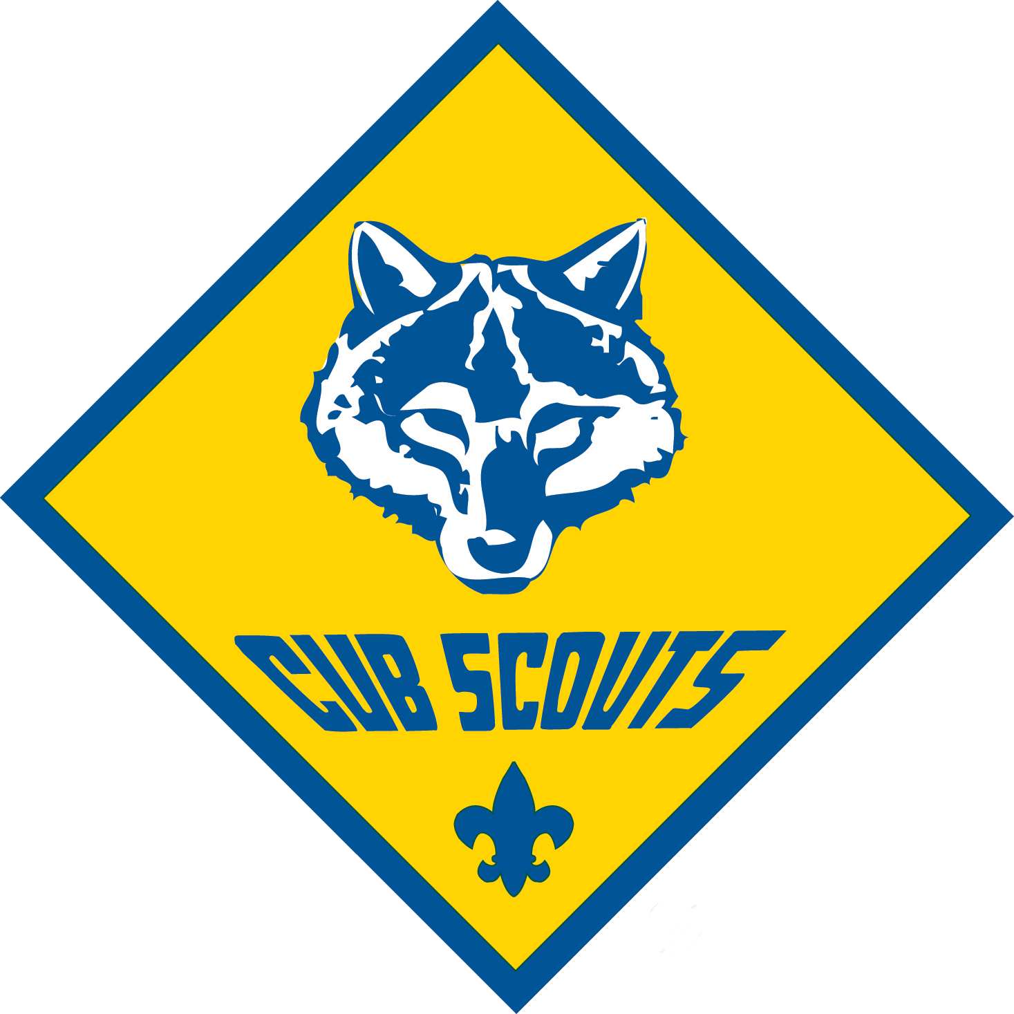 Cub Scout Pack 245